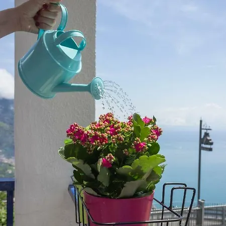 Apartman Angiem House *